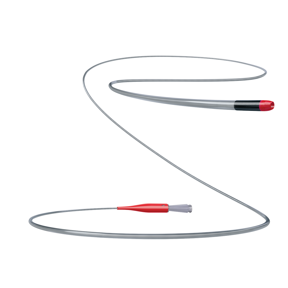 Coronary Products Boston Scientific